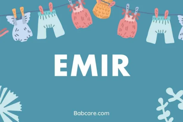 Emir Name Meaning