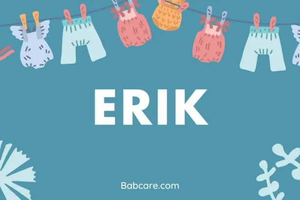 Erik Name Meaning