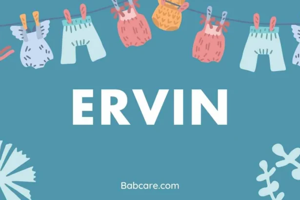 Ervin Name Meaning