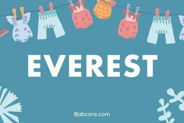 Everest Name Meaning