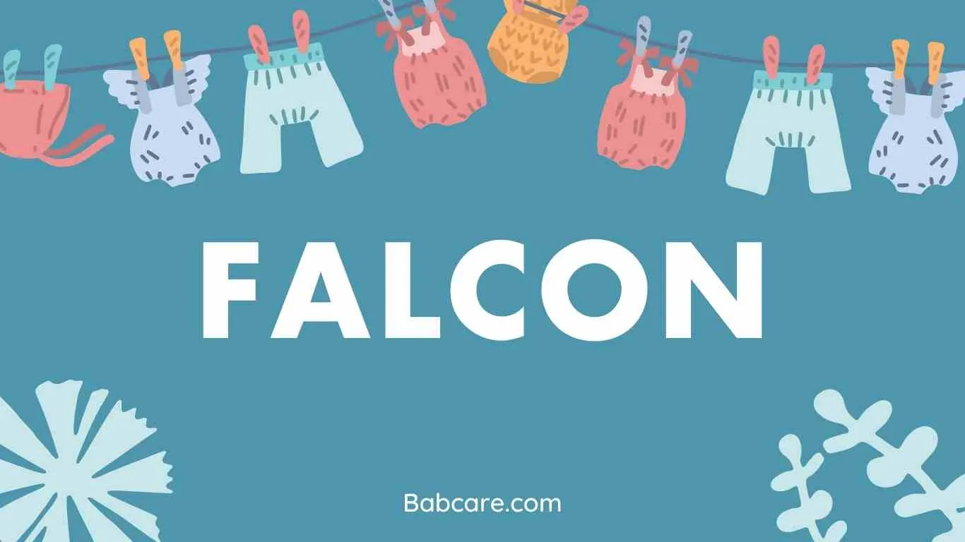 Falcon Name Meaning