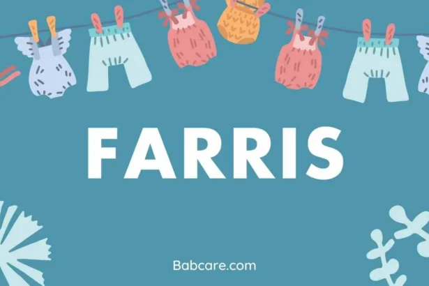 Farris Name Meaning