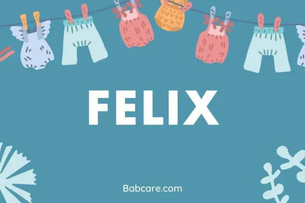 Felix Name Meaning