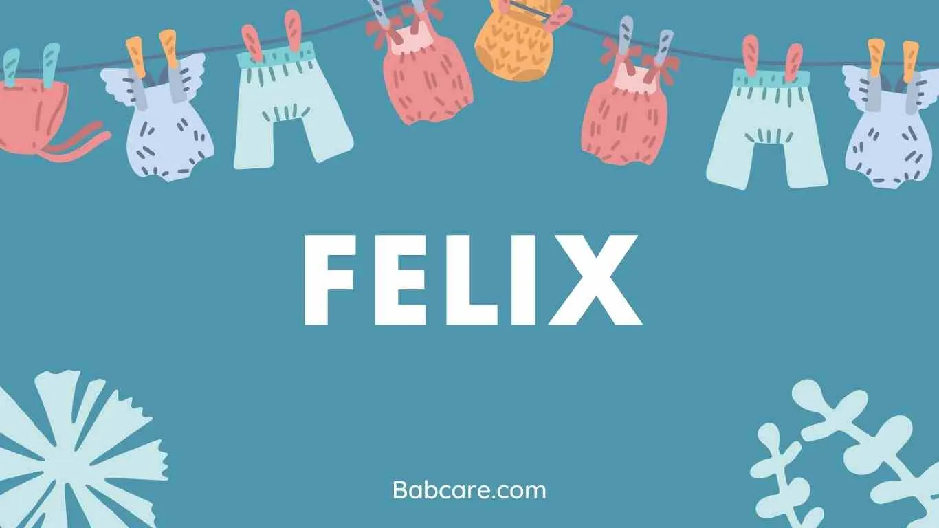 Felix Name Meaning