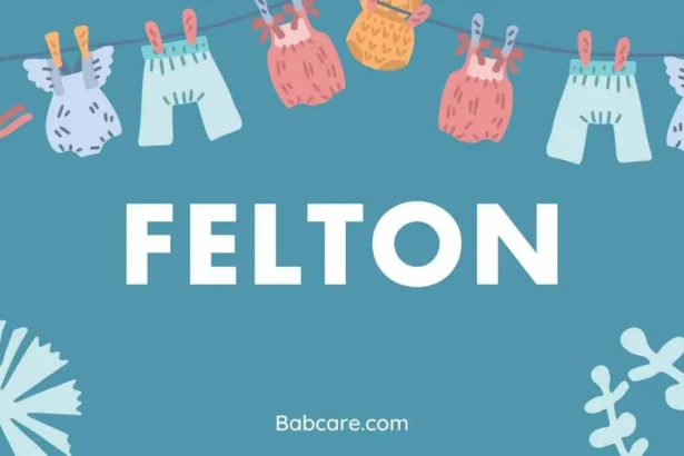 Felton Name Meaning