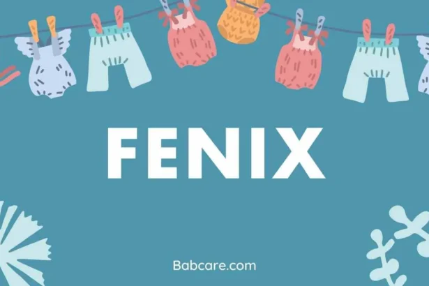 Fenix Name Meaning