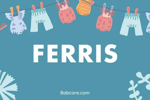 Ferris Name Meaning