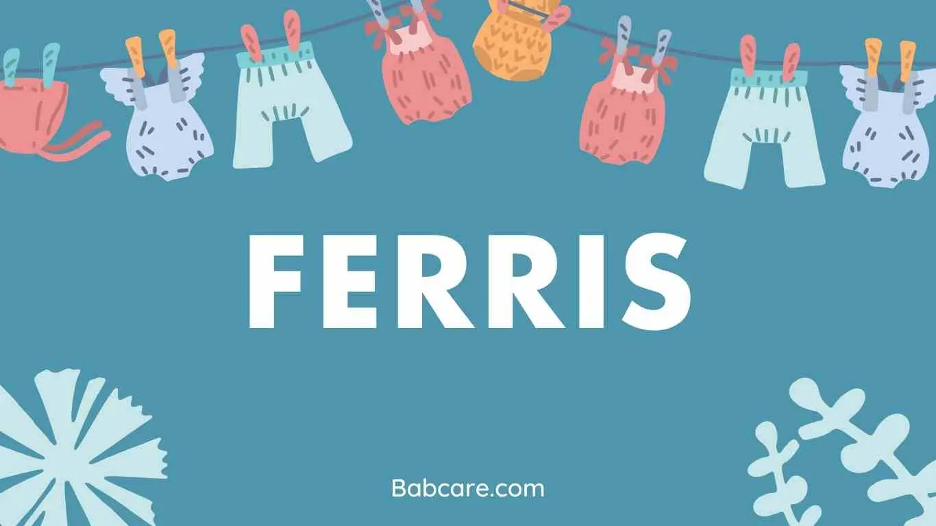 Ferris Name Meaning