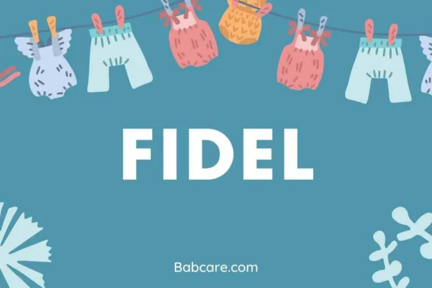 Fidel Name Meaning