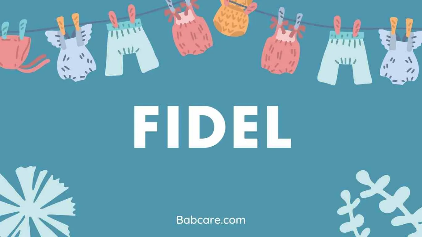 Fidel Name Meaning