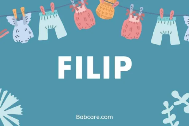 Filip Name Meaning