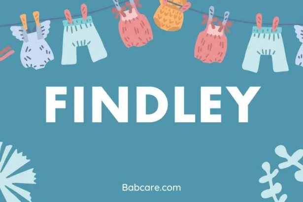 Findley Name Meaning