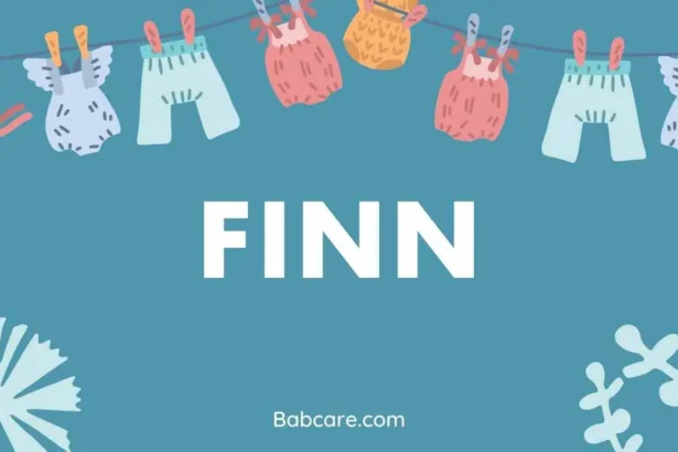 Finn Name Meaning