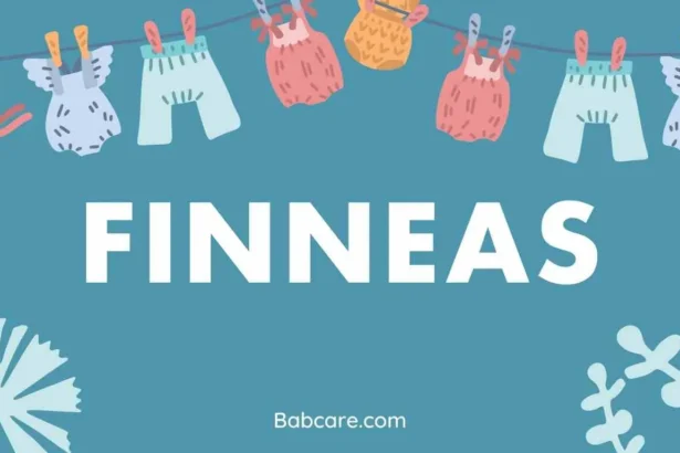 Finneas Name Meaning