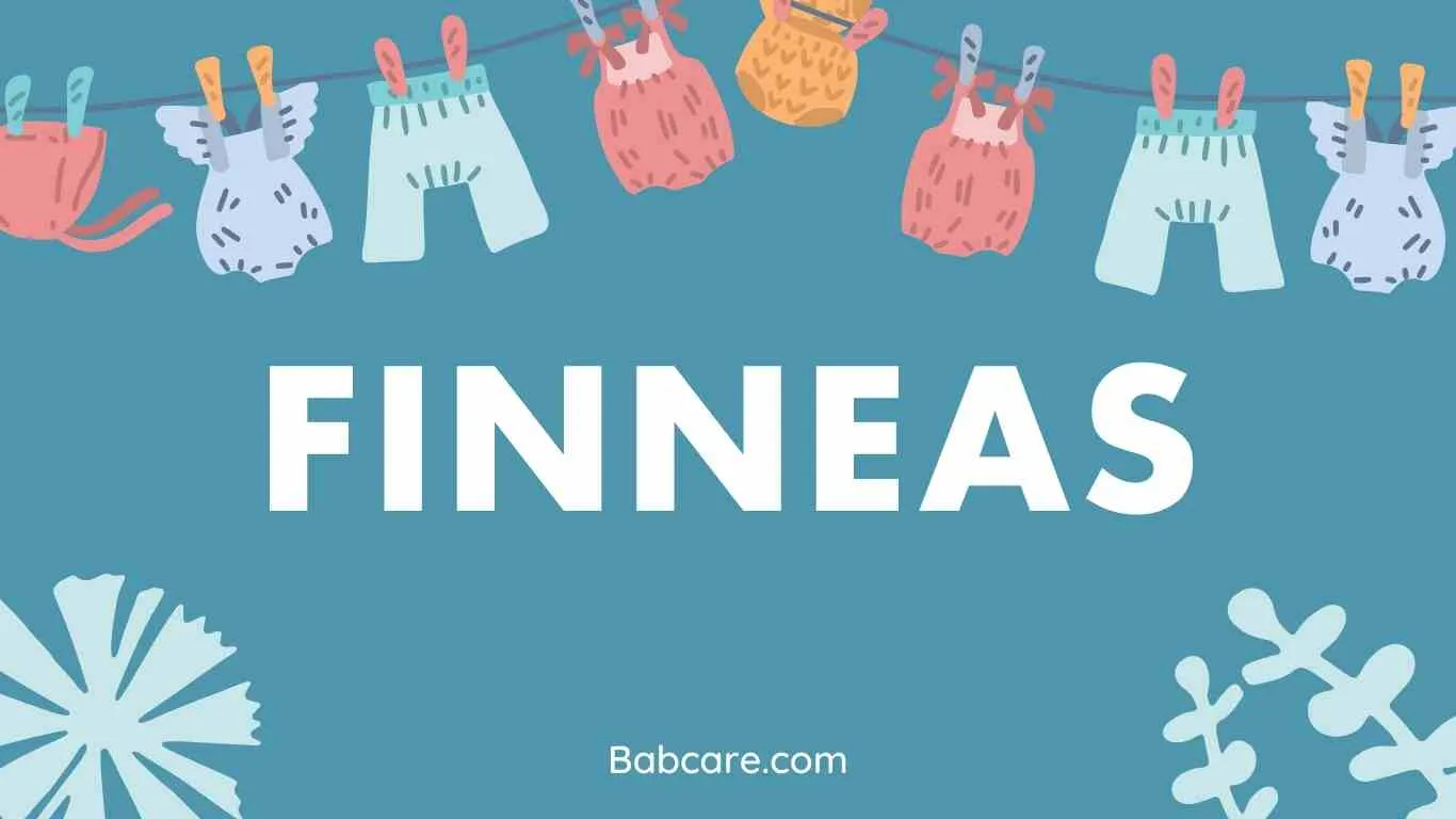 Finneas Name Meaning