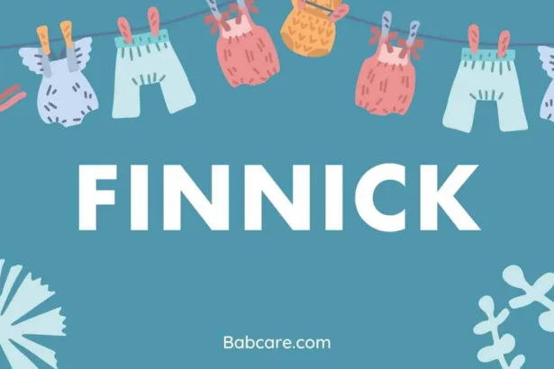 Finnick Name Meaning