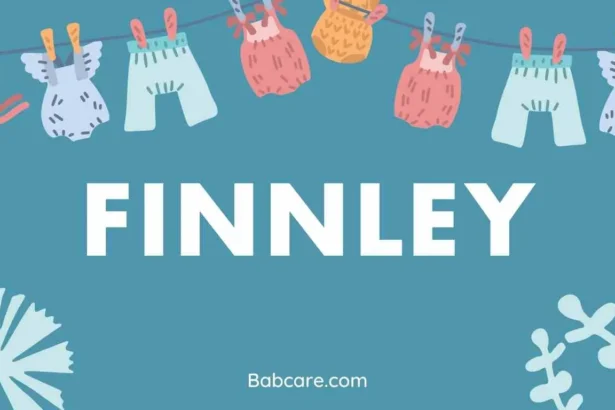 Finnley Name Meaning