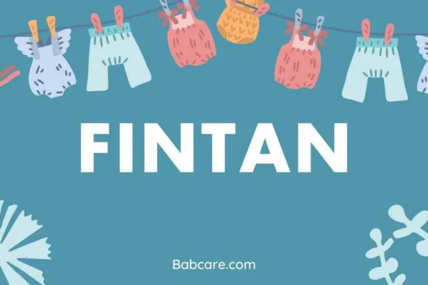 Fintan Name Meaning