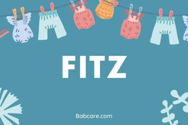 Fitz Name Meaning