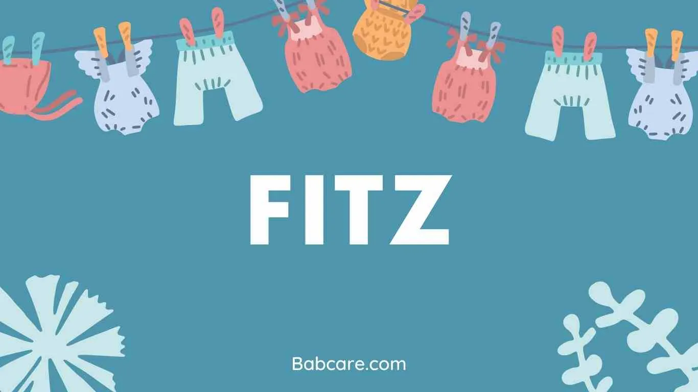 Fitz Name Meaning