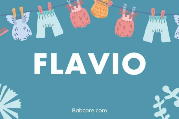 Flavio Name Meaning