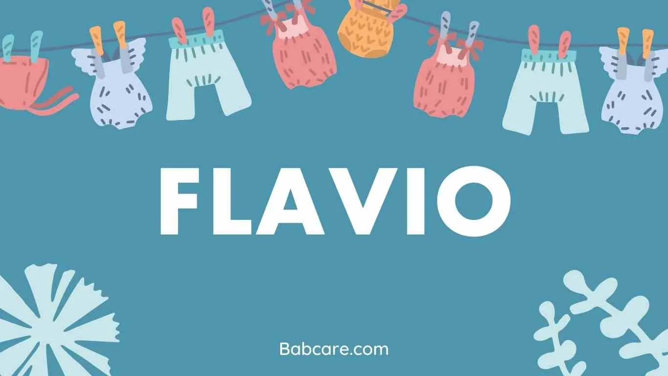 Flavio Name Meaning