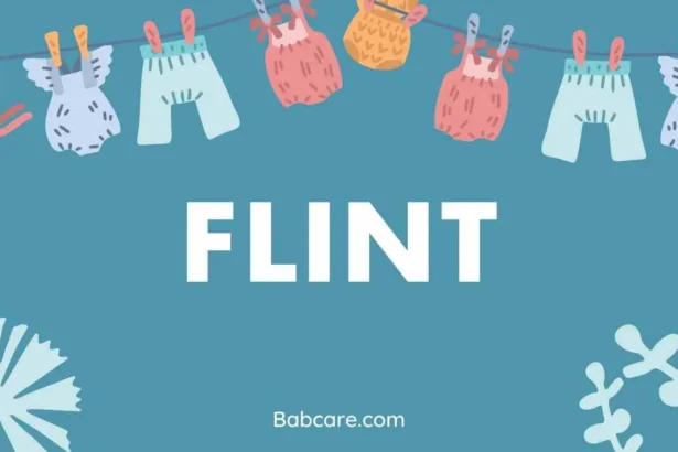 Flint Name Meaning