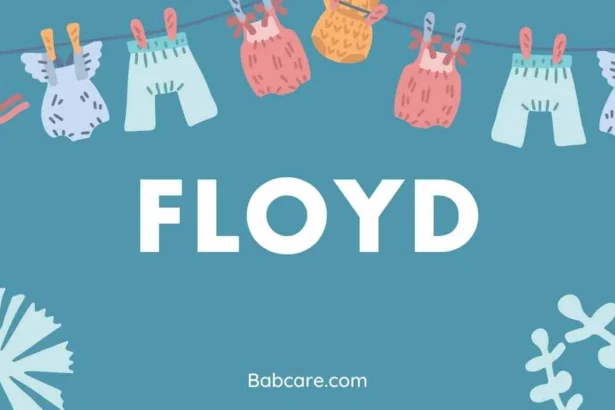 Floyd Name Meaning