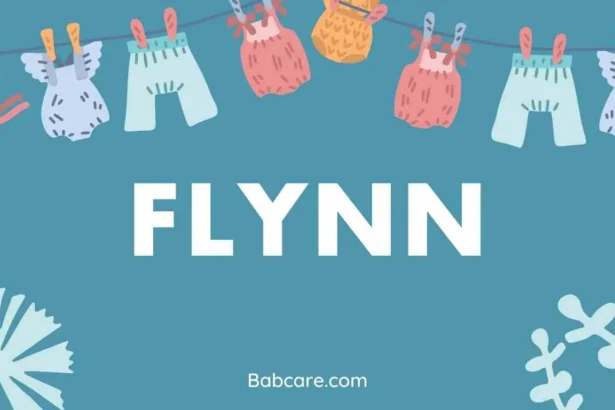 Flynn Name Meaning