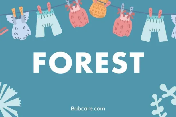 Forest Name Meaning