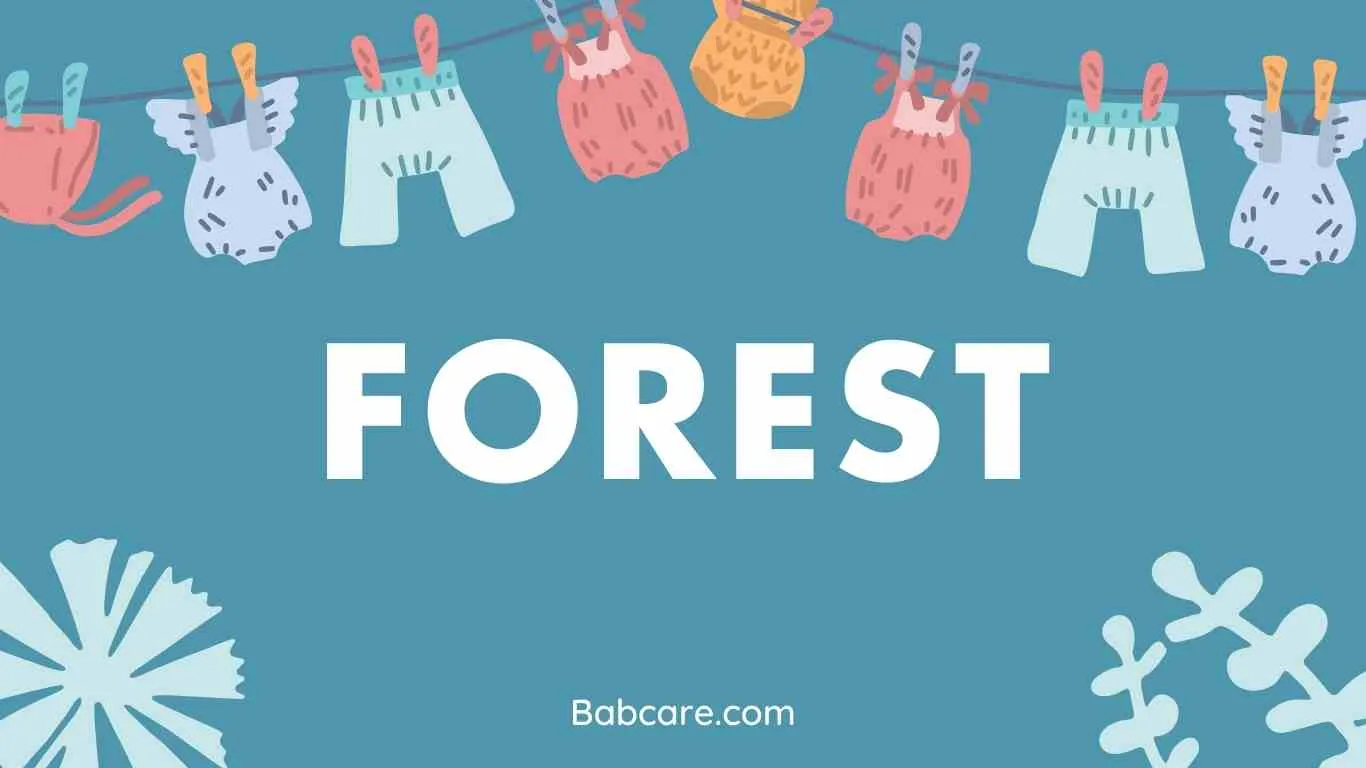 Forest Name Meaning