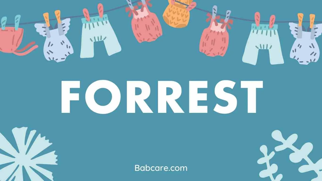 Forrest Name Meaning