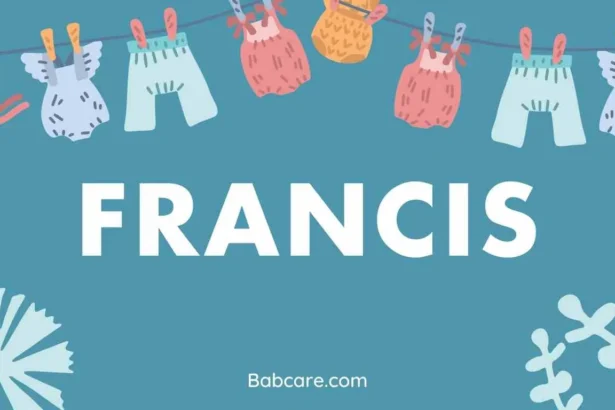 Francis Name Meaning