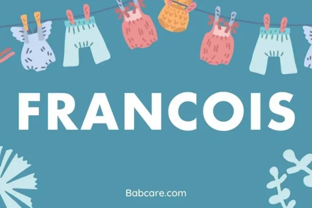 Francois Name Meaning