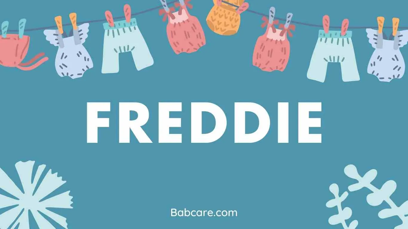 Freddie Name Meaning