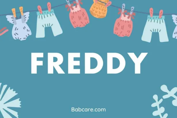 Freddy Name Meaning