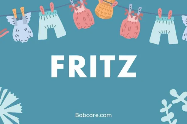 Fritz Name Meaning