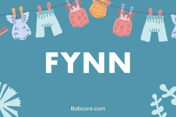 Fynn Name Meaning