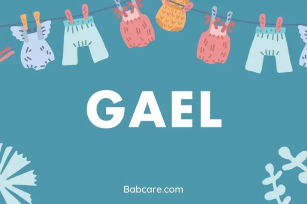 Gael Name Meaning