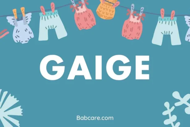 Gaige Name Meaning