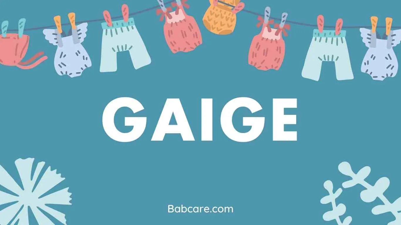 Gaige Name Meaning