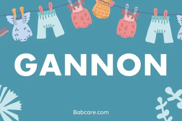 Gannon Name Meaning