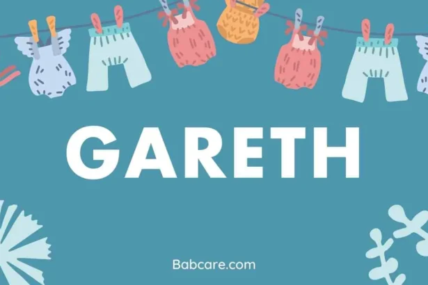 Gareth Name Meaning