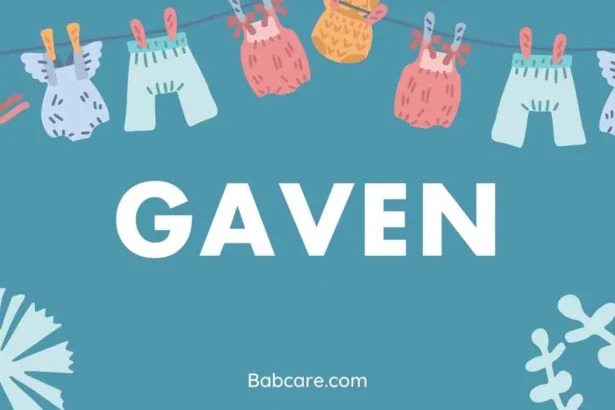 Gaven Name Meaning