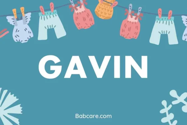 Gavin Name Meaning