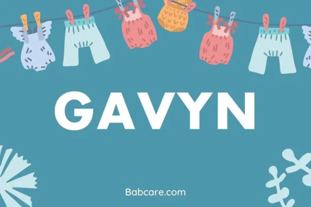 Gavyn Name Meaning