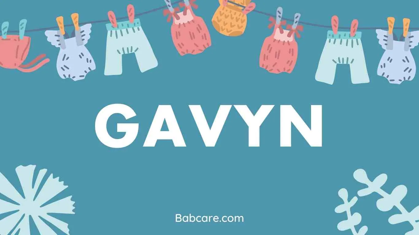 Gavyn Name Meaning