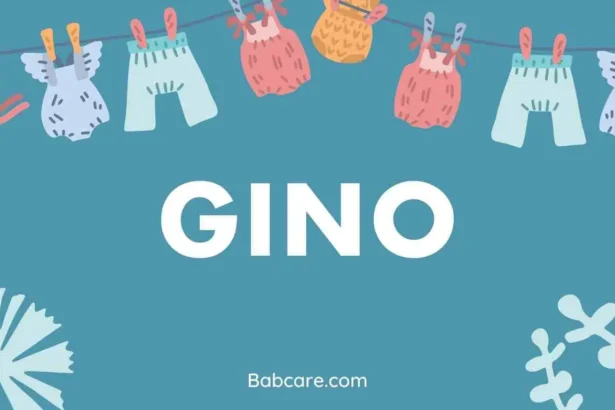 Gino Name Meaning