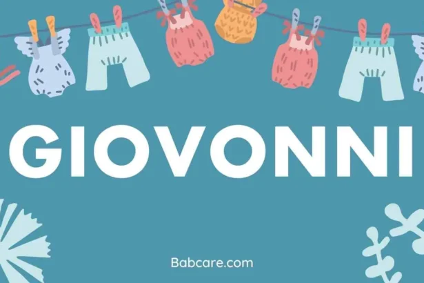 Giovonni Name Meaning