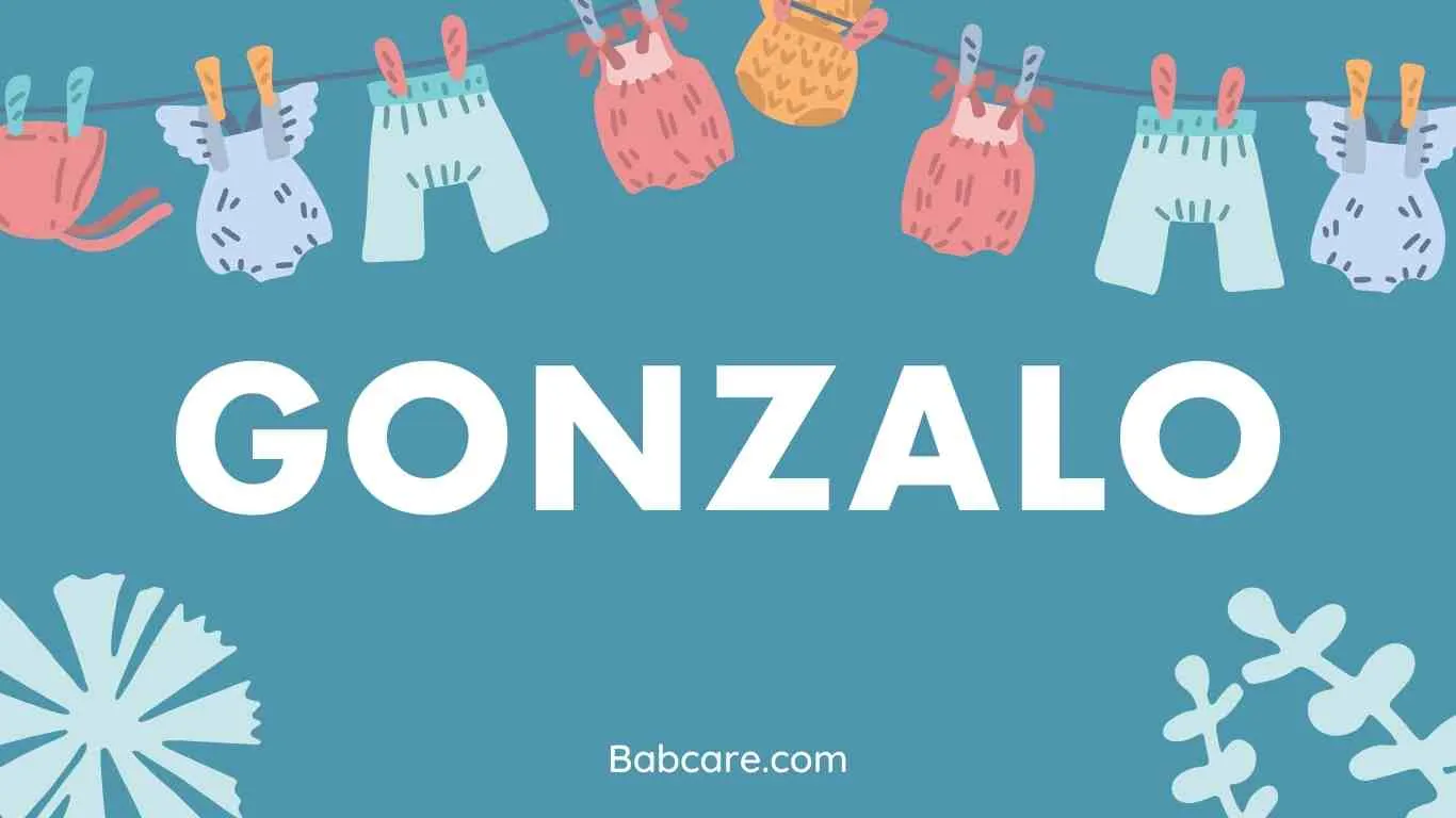 Gonzalo Name Meaning